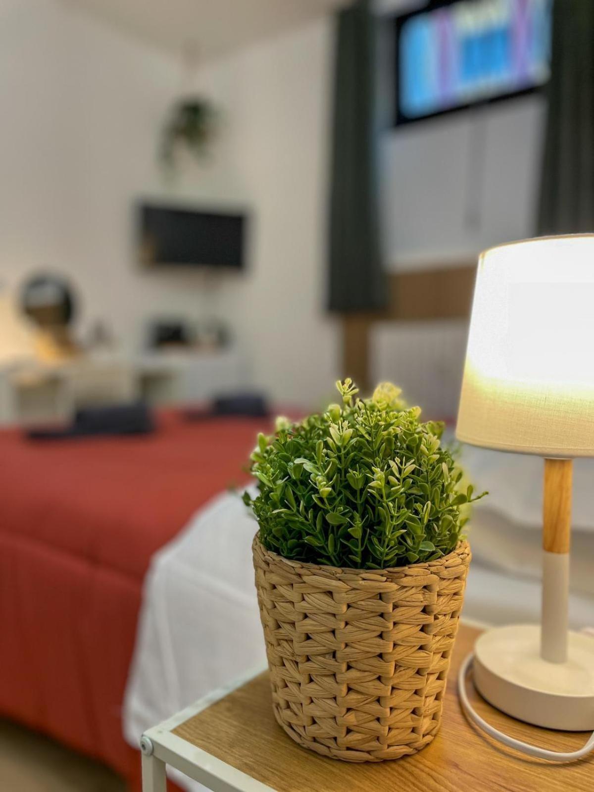 Home In Town - Home In City Life Near San Siro Stadium ミラノ エクステリア 写真